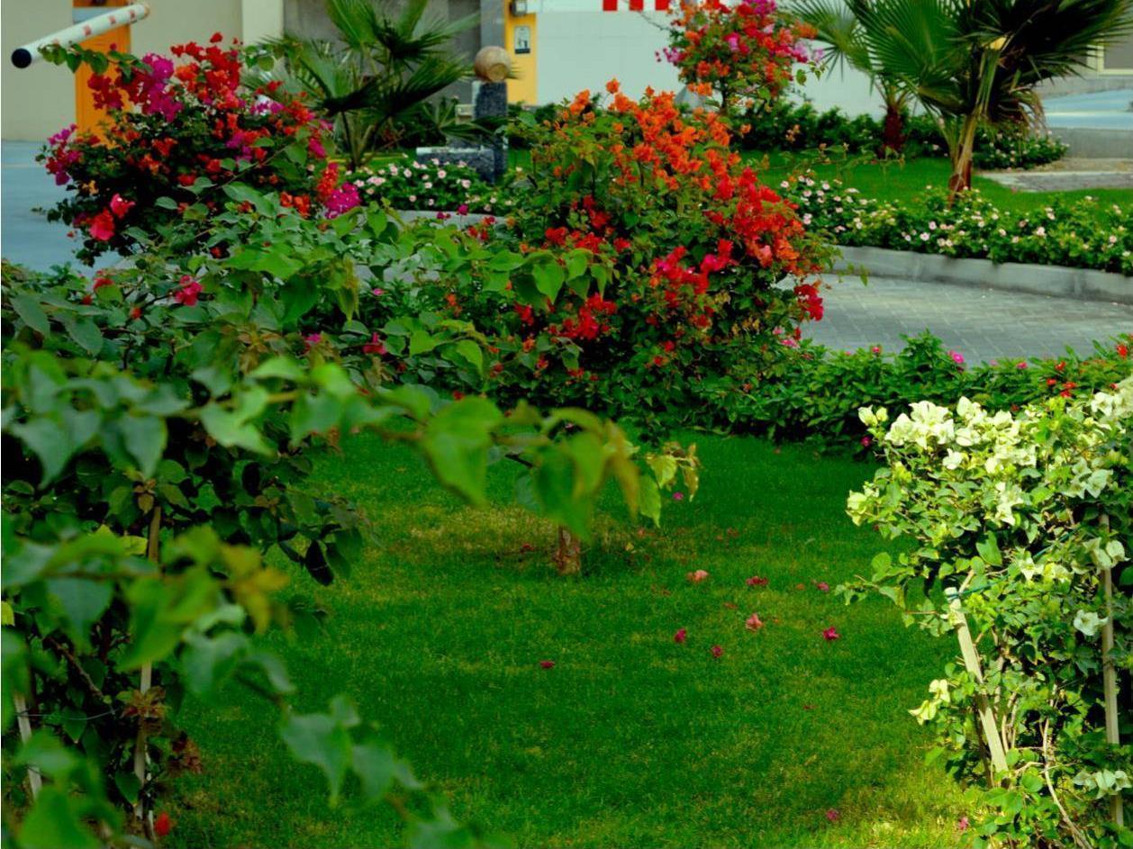 Home To Home Apartments Дубай Экстерьер фото